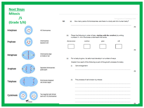 New AQA biology lesson diffusion
