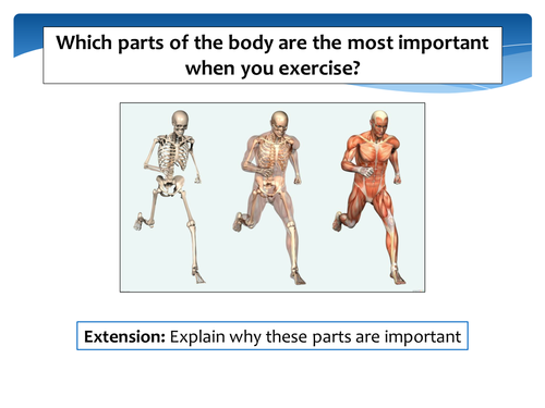 Investigation into heart rate and exercise