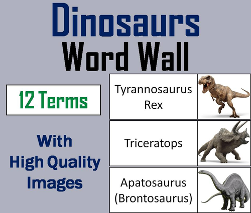 Types of Dinosaurs Word Wall Cards