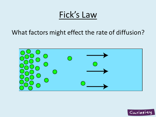 Diffusion factors and Fick's Law