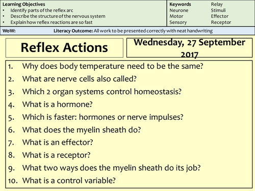 NEW AQA 9-1 Biology - Reflex Actions - Complete Lesson
