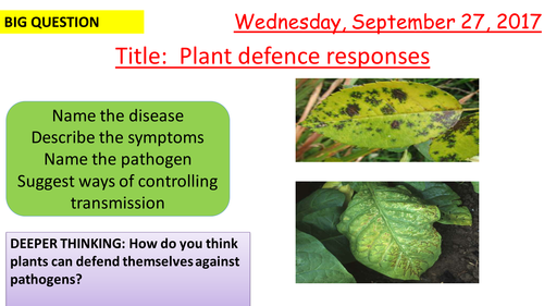 Plant defence and response