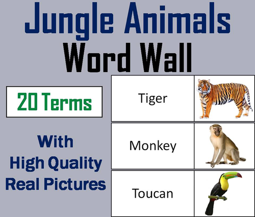 Jungle Animals Word Wall Cards