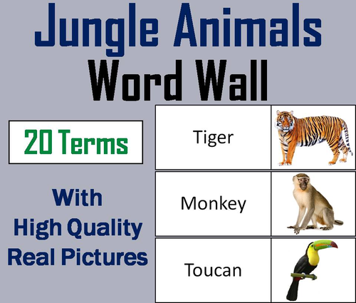 Jungle Animals Word Wall Cards | Teaching Resources