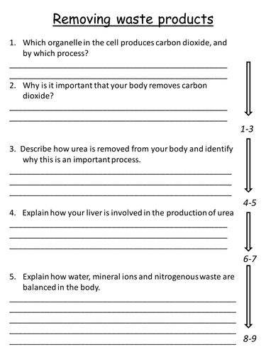 NEW AQA GCSE Biology (2016) - Removing waste products HT