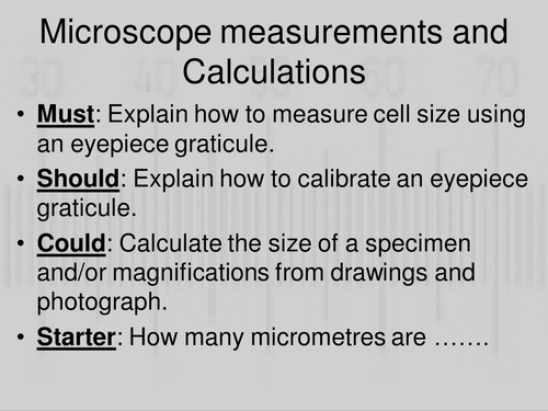 Microscopic measurements and calculations  AQA AS Biology