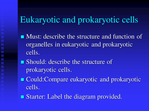 AS Biology_Eukaryotic cell structure