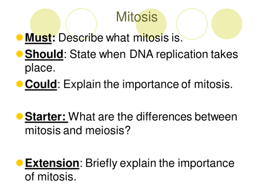 Mitosis and cell cycle