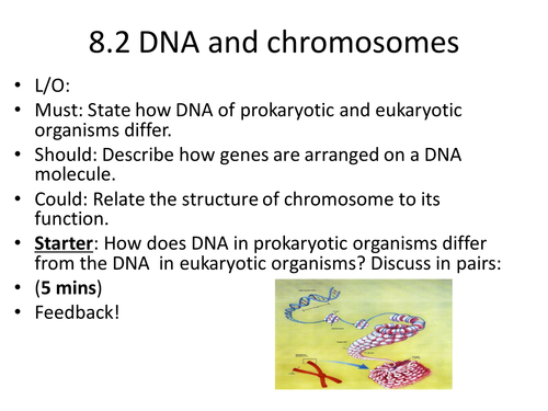 AS Biology_DNA and chromosome & The structure of RNA