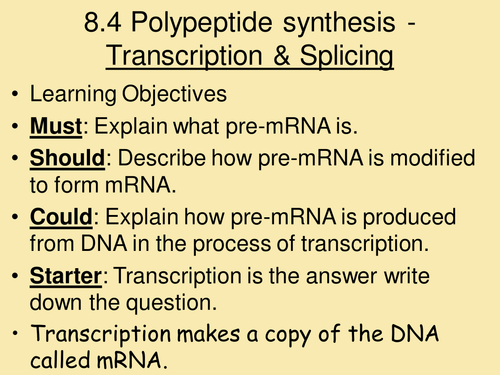 AS Biology_Protein synthesis-transcription,splicing and translation.