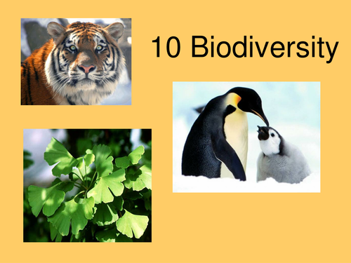 AS Biology_Species and taxonomy