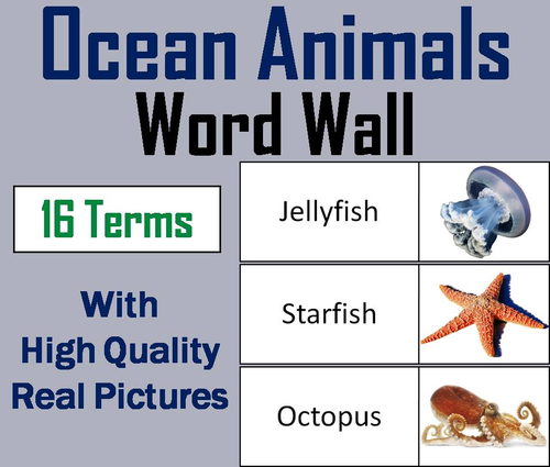 Ocean Animals Word Wall Cards