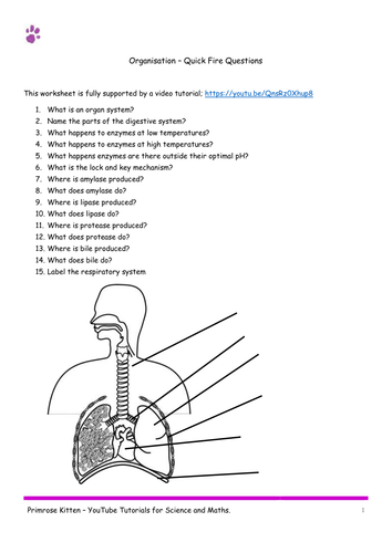 ORGANISATION. AQA B1-Topic 2 Quick Fire Questions. 9-1 GCSE Biology or combined science revision