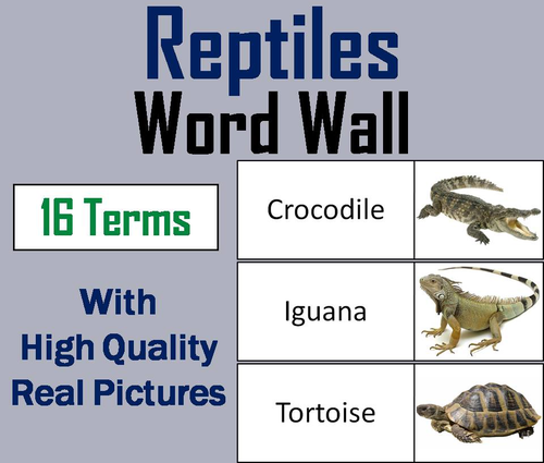 Reptiles Word Wall Cards