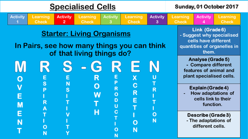 Specialised Cells - NEW AQA GCSE