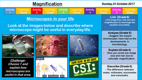 Magnification - NEW AQA GCSE