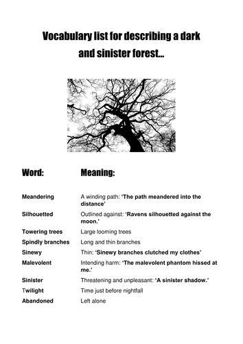 Descriptive Writing: Journey through the dark forest: 1-4 lesson scheme and image prompts
