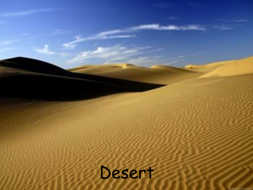 Environment, Population and Adaptation cut and stick activity