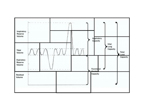 Lung Volumes Jigsaw Game