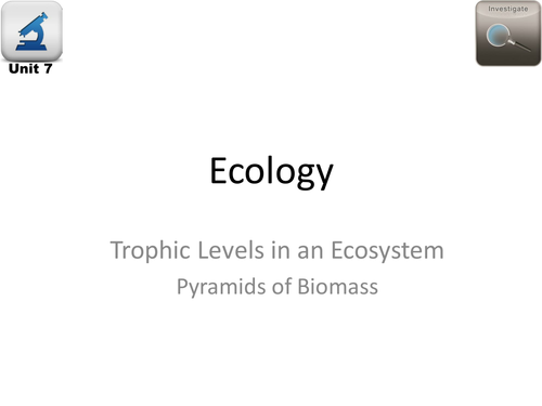 AQA Biology 4.7 Ecology – L15 Pyramids of Biomass