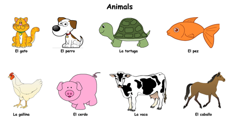 Spanish - Animals