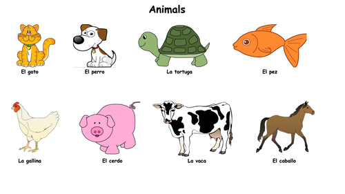 Spanish - Animals | Teaching Resources