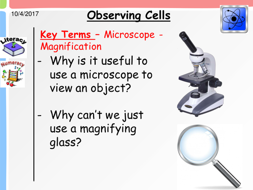 Microscopes - Observing Cells KS3