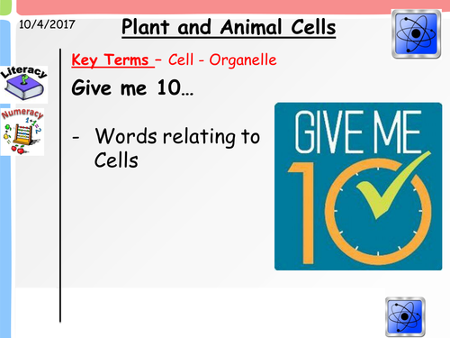 Plant and Animal Cells KS3