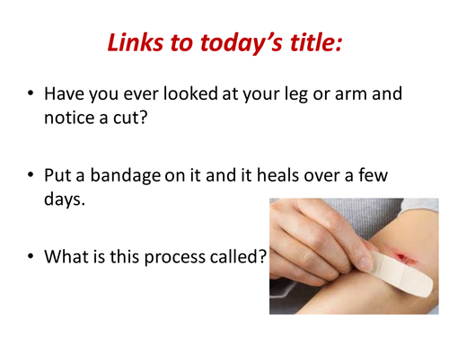 Cell Division | Teaching Resources