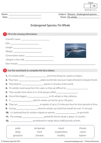 Endangered Species - Fin Whale