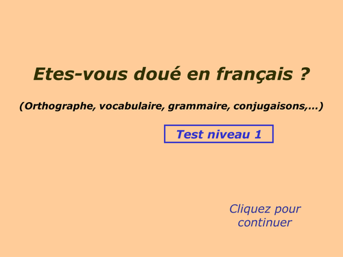 FRENCH GRAMMAR QUIZ FOR A LEVEL FRENCH