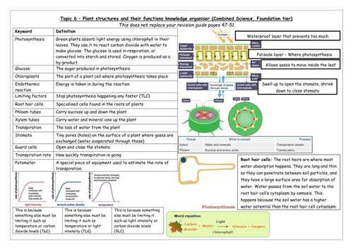 Edexcel 9-1 GCSE Biology Topic 6 Plants knowledge organiser Combined FT