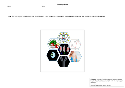 A-level immunology revision activity