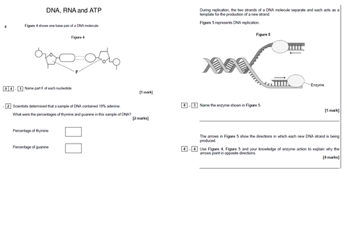 A-level exam questions