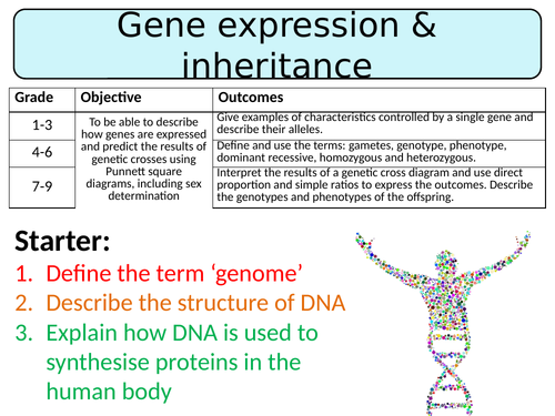 NEW AQA GCSE Trilogy (2016) Biology - Gene expression & inheritance