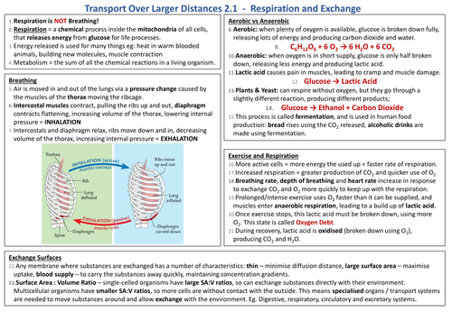 Knowledge Organiser AQA 9-1 GCSE Synergy - Respiration and Exchange