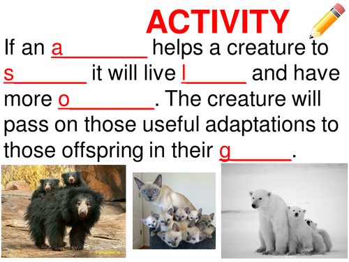 Adaptation, habitat and adaptations and inherited variation, survival. KS3 Complete lesson.