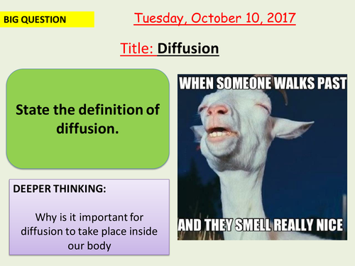 AQA new specification-Diffusion-B1.6