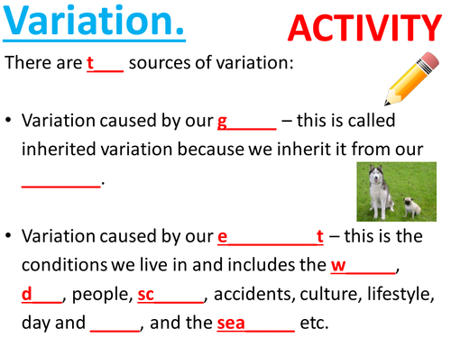 Effects of the environment, environmental variation, inherited variation. KS3. Complete Lesson.
