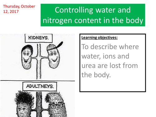 homeostasis water control