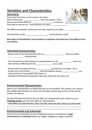 Variation and characteristics, inherited, environmental, both - worksheet with answers KS3