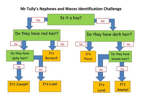 Classification Chart/Tree