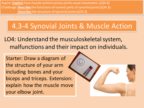 4.3-4 Synovial Joints and Muscle Action Unit 4 Anatomy and Physiology Cambridge Technical L3 H&SC