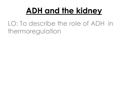 ADH and the Kidney