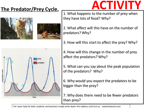 Worksheet / activity - Predator prey cycles (effects on the environment). KS3 Biology.