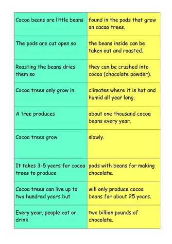 Geography KS2 Cocoa bean matching activity