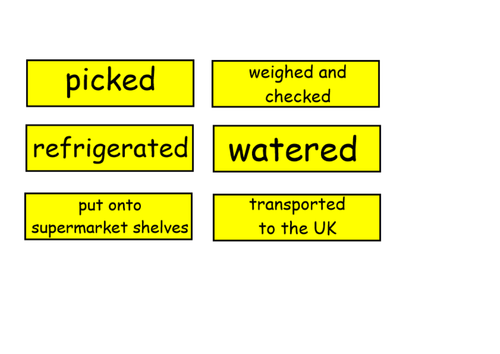 Geography KS2 Sorting activity - Process of mangetout