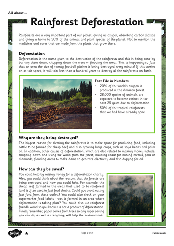 Deforestation Poem Medium Term plans