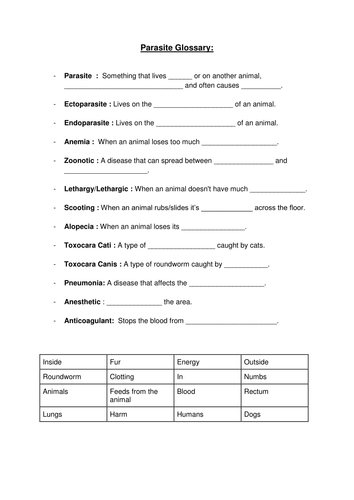 BTEC Animal Care Endoparasites PPT Worksheets And