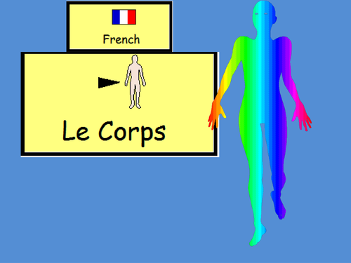 French Body Parts